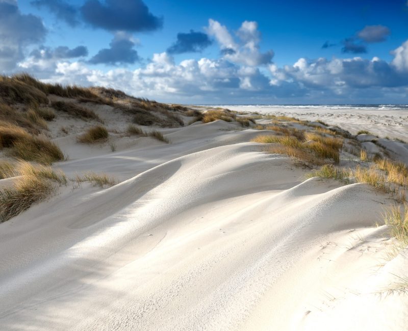 Sandy walkway through dune vegetation leading to Tern Point Beach, Mangawhai